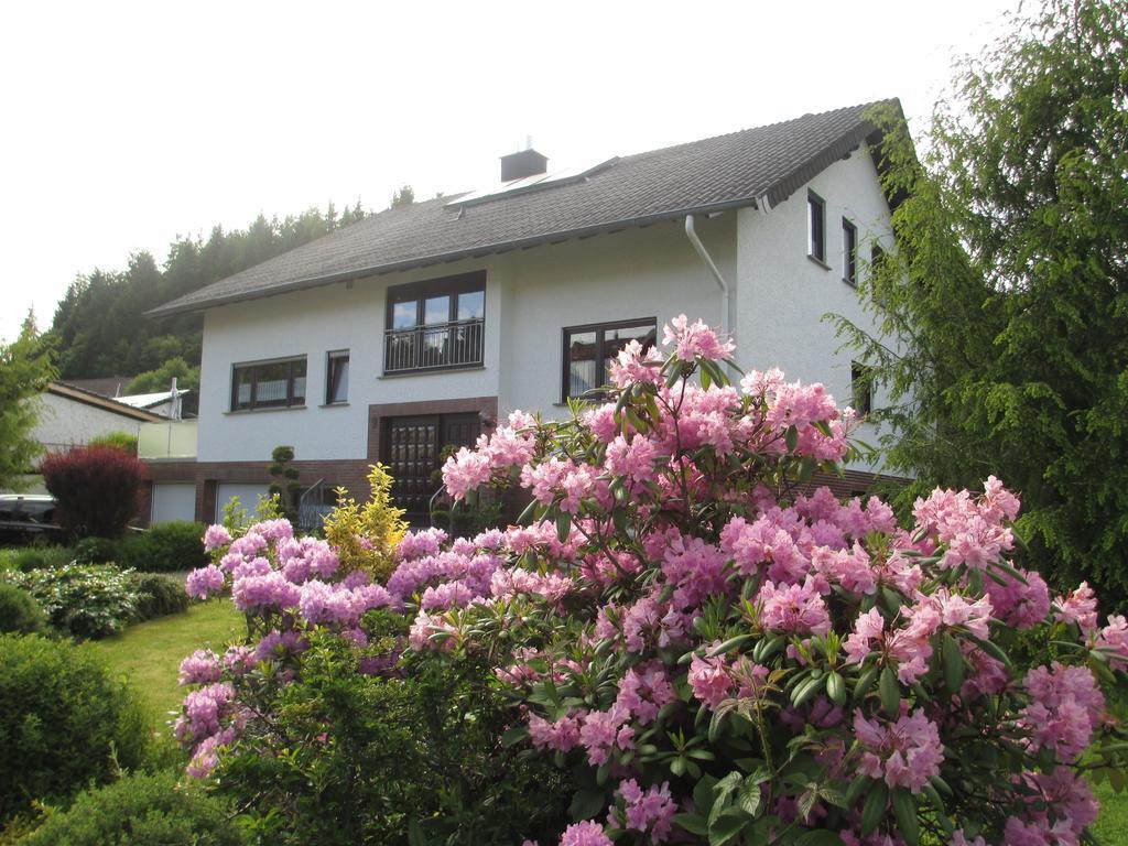 Ferienwohnung-Lind Wimbach Стая снимка